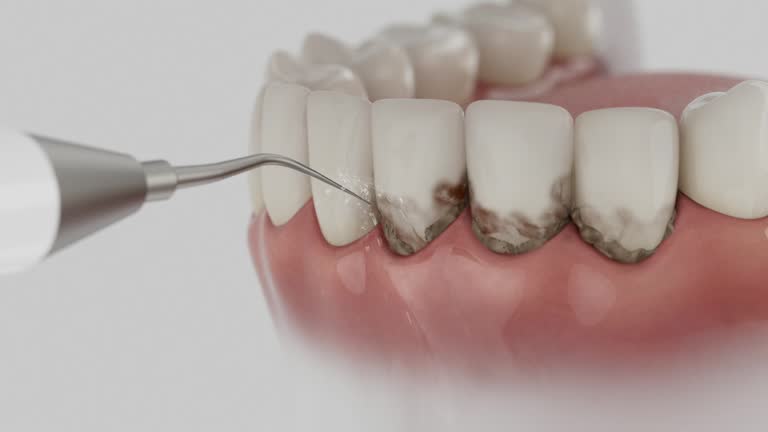 Reliable Dental contractor in Fulton, TX by Dentist Open Now